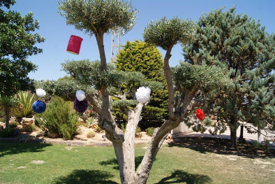 Los Jardines De Lola Daimés Eksteriør bilde