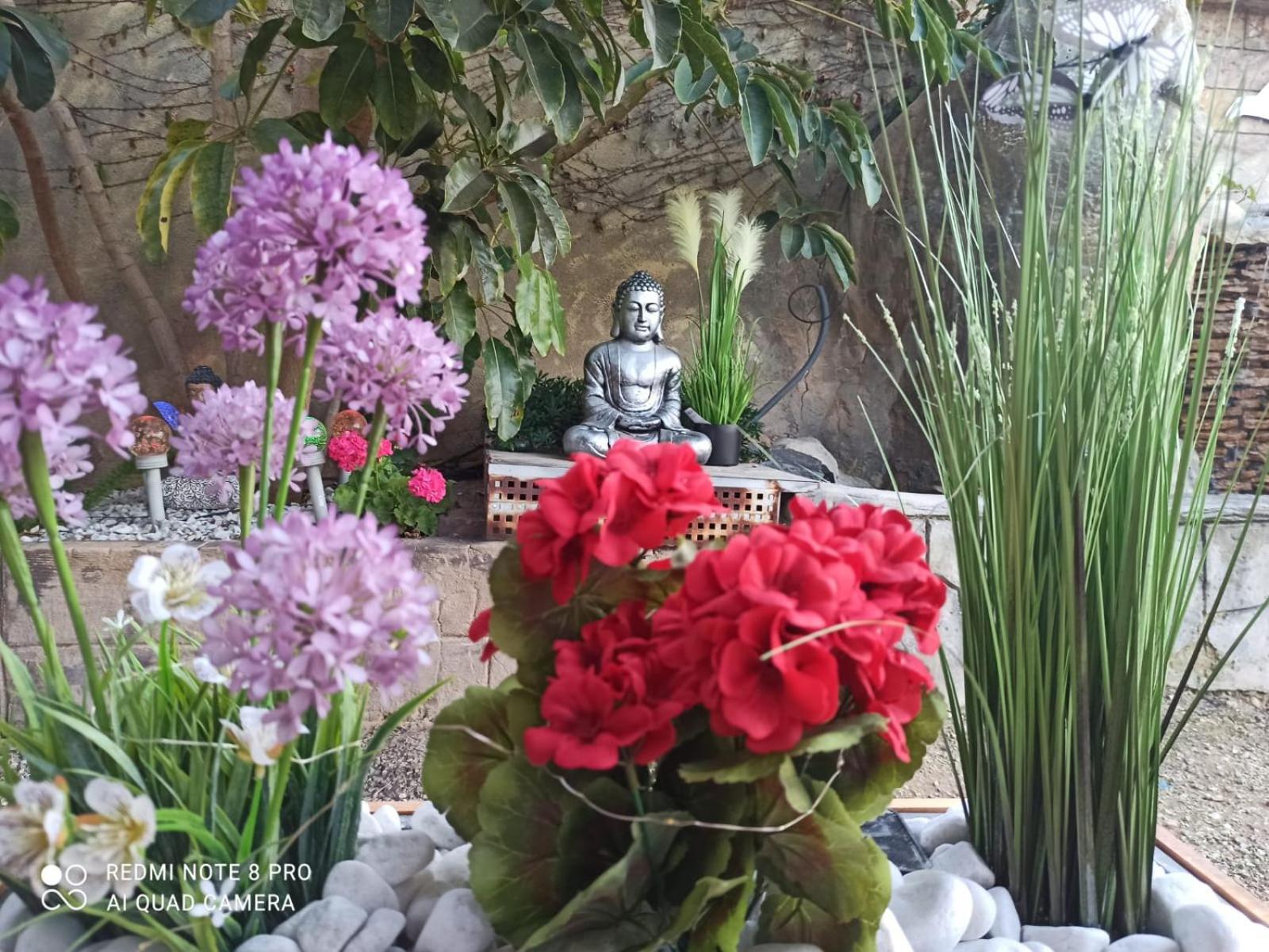 Los Jardines De Lola Daimés Eksteriør bilde