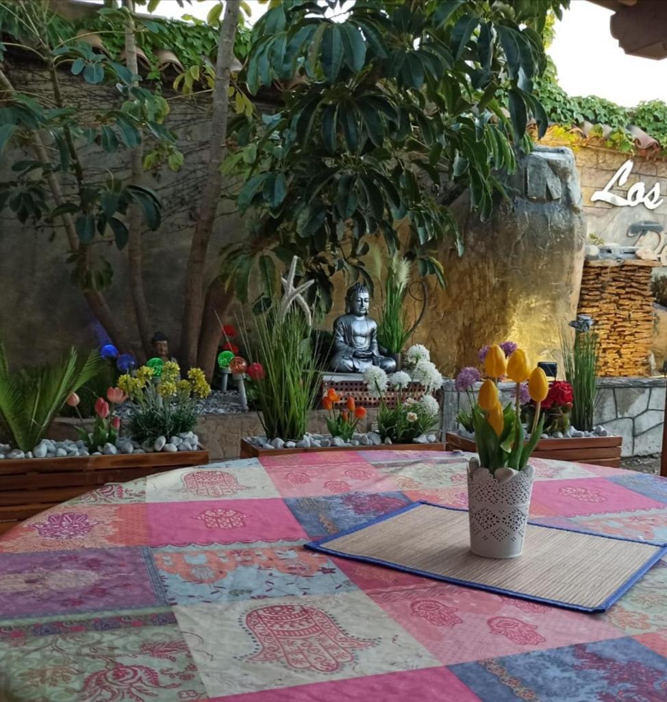 Los Jardines De Lola Daimés Eksteriør bilde