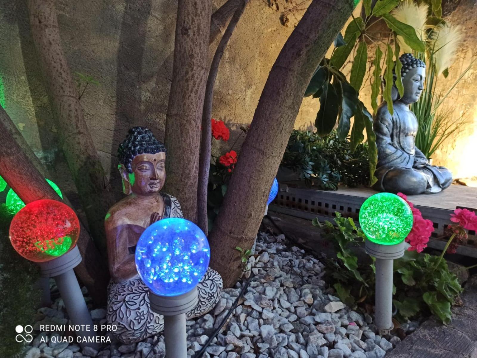 Los Jardines De Lola Daimés Eksteriør bilde